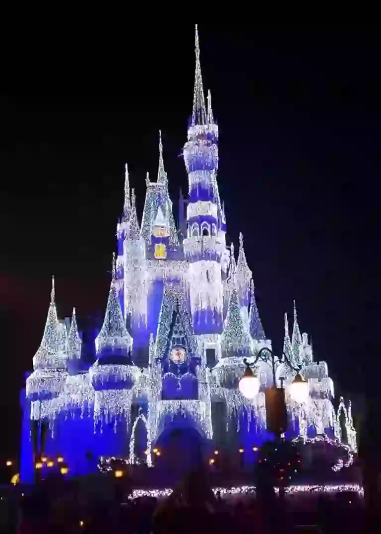 Disney Castle Night
