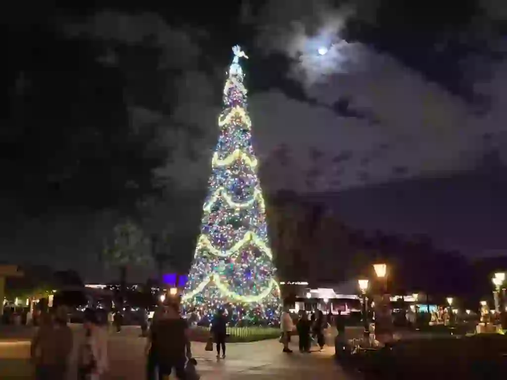 Epcot Christmas Tree